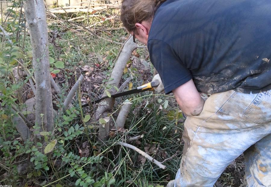 Plumber inspecting aging galvanized supply lines commonly found in older Tarrant County homes