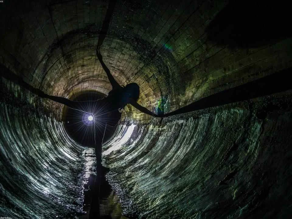 Plumber reviewing a live sewer camera inspection feed during a sewer line repair in Dallas